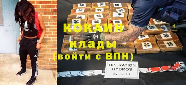 дживик Осинники
