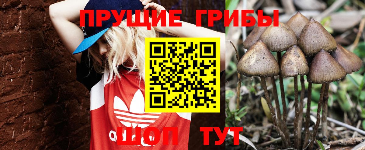 Псилоцибиновые грибы GOLDEN TEACHER Бахчисарай